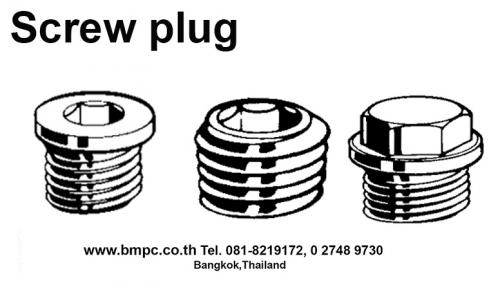 oil-plug--ปลั๊กอุดน้ำมัน--pipe-plug-with-external-taper-screw-thread