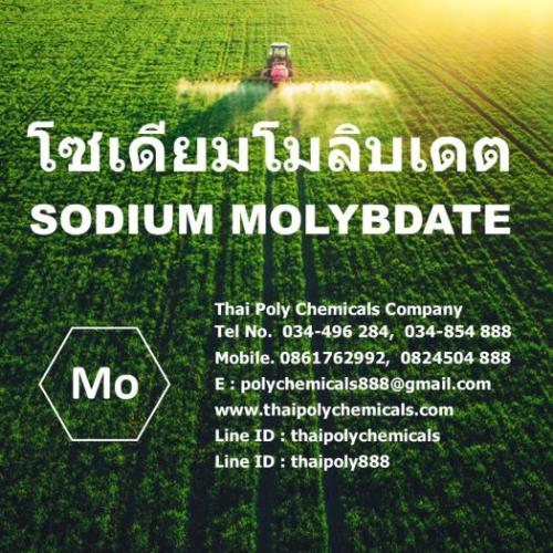 โซเดียมโมลิบเดต--sodium-molybdate--ผงจุลธาตุโมลิบดินัม--โซเดียมโมลิบเด