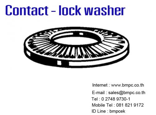 contact-lock-washer--nf-e25-511--disc-spring-lock-washer--schnorr