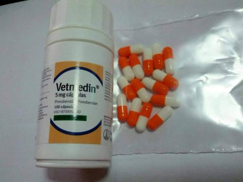 ยา-vetmedin-pimobendan-5-mg-capsules-สำหรับการรักษาโรคหัวใจในสุนัข