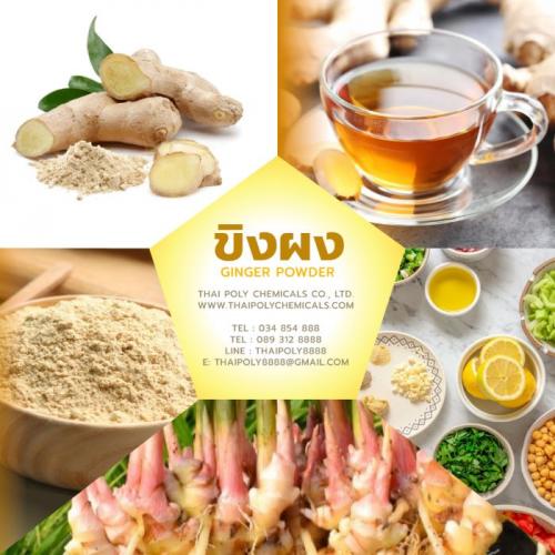 ขิงผง--ginger-powder--ขิงผงไทยแลนด์--thailand-ginger--ผงขิง--powdered