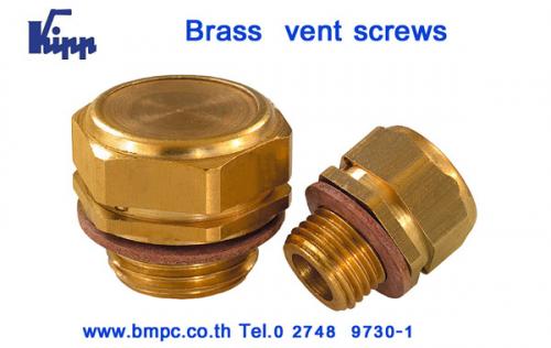 brass-vent-screw--vent-plug--breather-screw-plug--schnorr-disc-spring