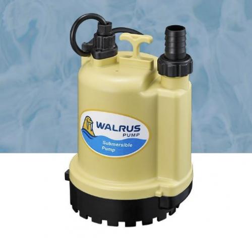 walrus-pump-จำหน่ายปั๊มน้ำ-ปั๊มน้ำบ้าน-ปั๊มน้ำเสียงเงียบ-แท้งก์น้ำ