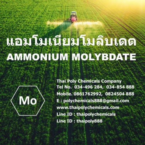 แอมโมเนียมโมลิบเดต--ammonium-molybdate--ผงจุลธาตุโมลิบดินัม--แอมโมเนีย