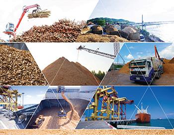 largest-exporter-of-high-excellent-woodchips-with-fsc-certified