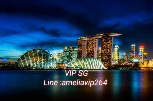 งาน-vip-sg-สิงคโปร์​-ไอดี​-ameliavip264