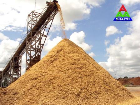 largest-producer-and-exporter-of-high-excellent-woodchips
