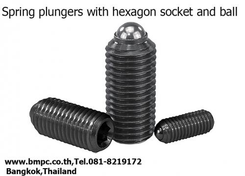 ball-plunger--spring-plunger--หนอน--slot-ball-plunger--schnorr--ensat